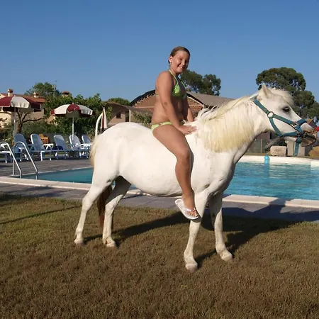 Farm stay Azienda Agrituristica Il Poggetto Delle Spighe