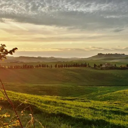 Azienda Agrituristica Il Poggetto Delle Spighe Collesalvetti